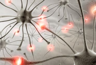 Techniques neurodynamiques